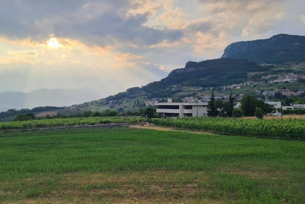 Appartamenti Moderni, Luminosi E Tranquilli Con Parcheggio Privato - Agritur La Tenuta Trento Exterior photo