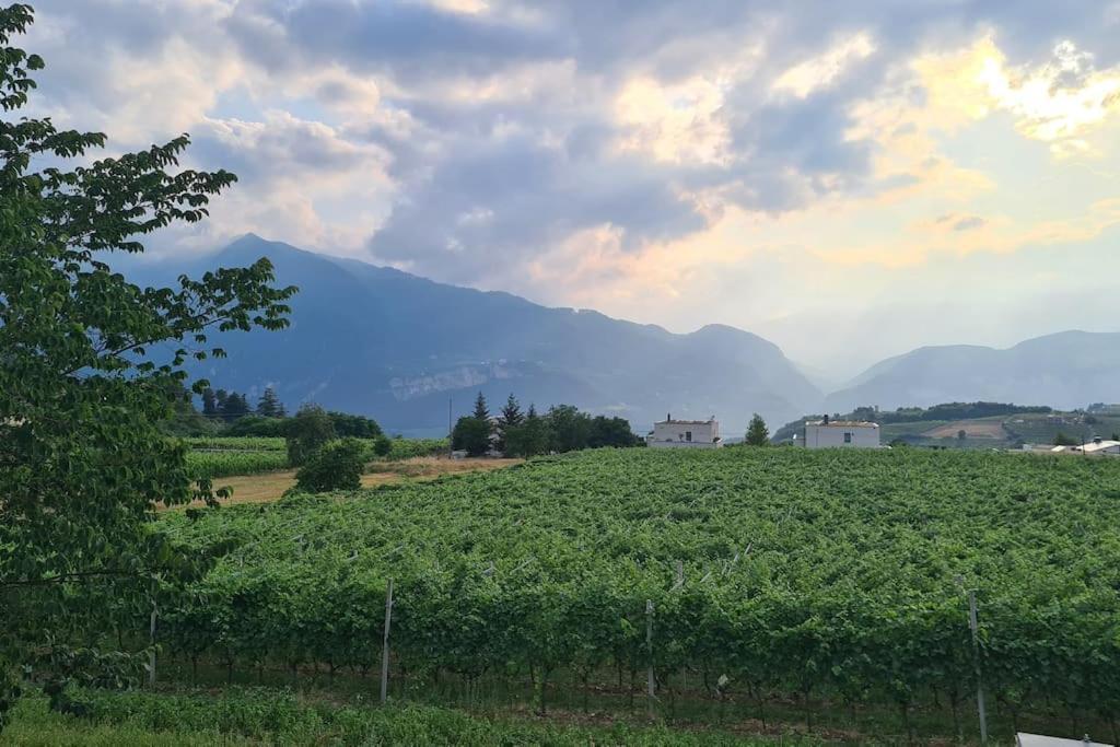 Appartamenti Moderni, Luminosi E Tranquilli Con Parcheggio Privato - Agritur La Tenuta Trento Exterior photo