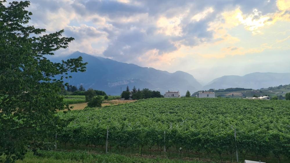 Appartamenti Moderni, Luminosi E Tranquilli Con Parcheggio Privato - Agritur La Tenuta Trento Exterior photo