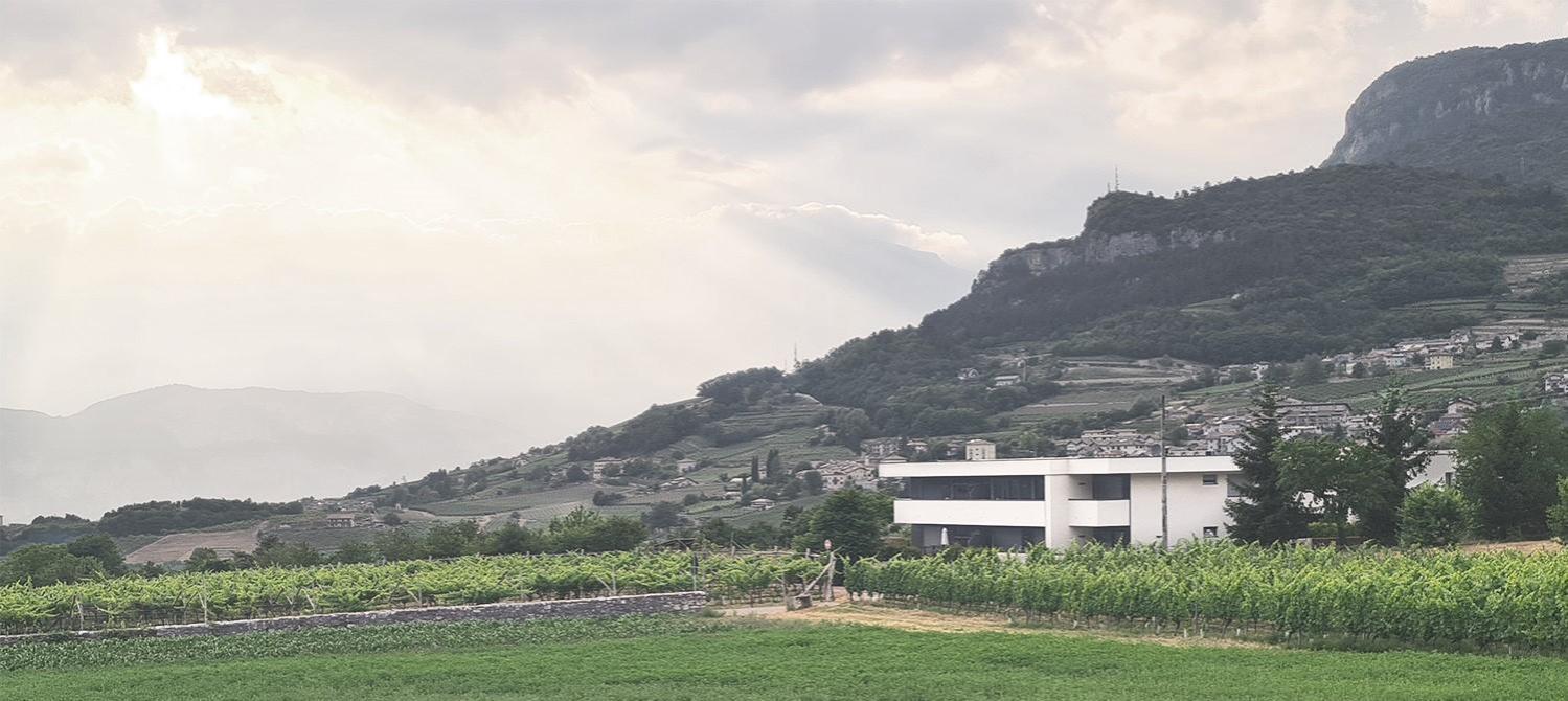 Appartamenti Moderni, Luminosi E Tranquilli Con Parcheggio Privato - Agritur La Tenuta Trento Exterior photo