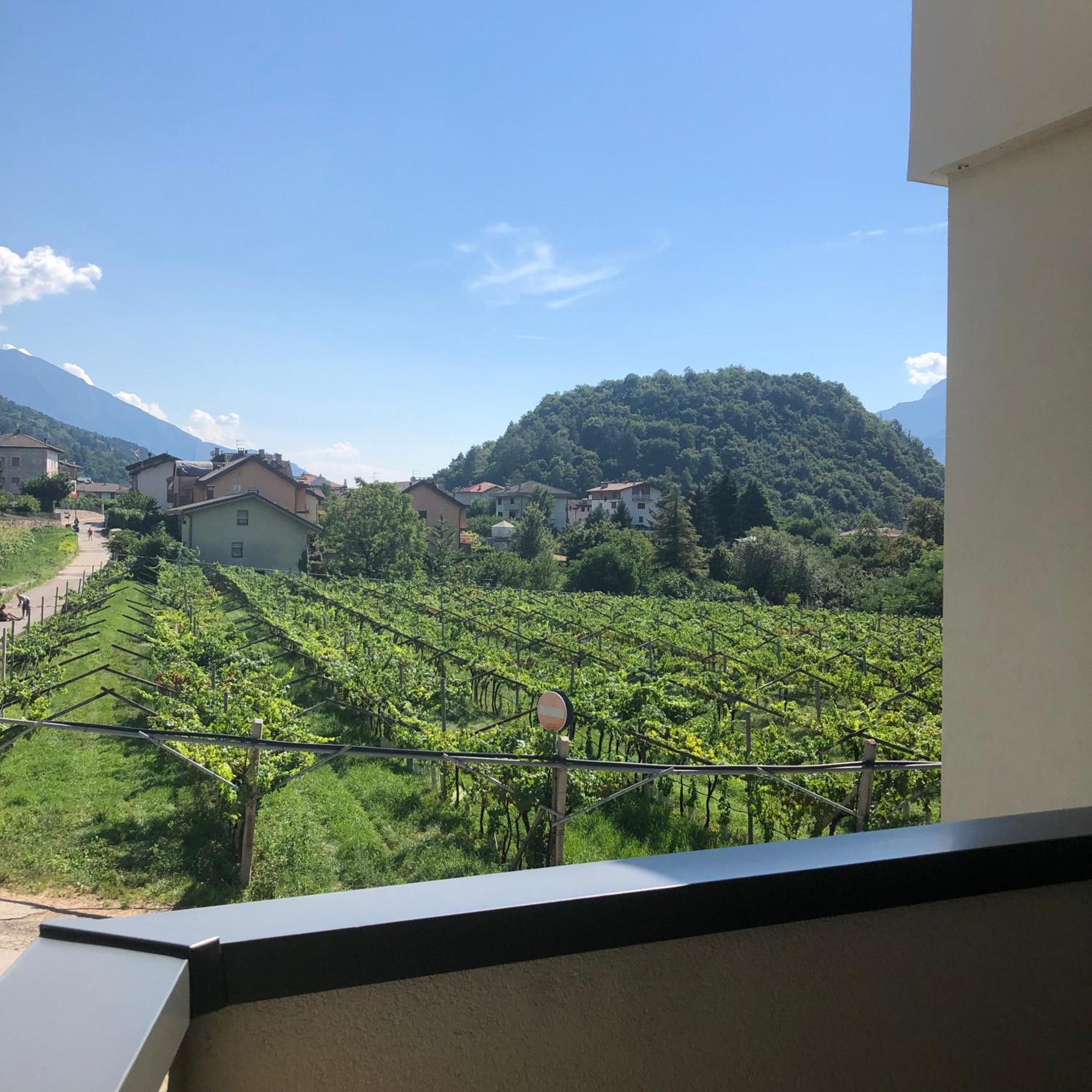 Appartamenti Moderni, Luminosi E Tranquilli Con Parcheggio Privato - Agritur La Tenuta Trento Exterior photo